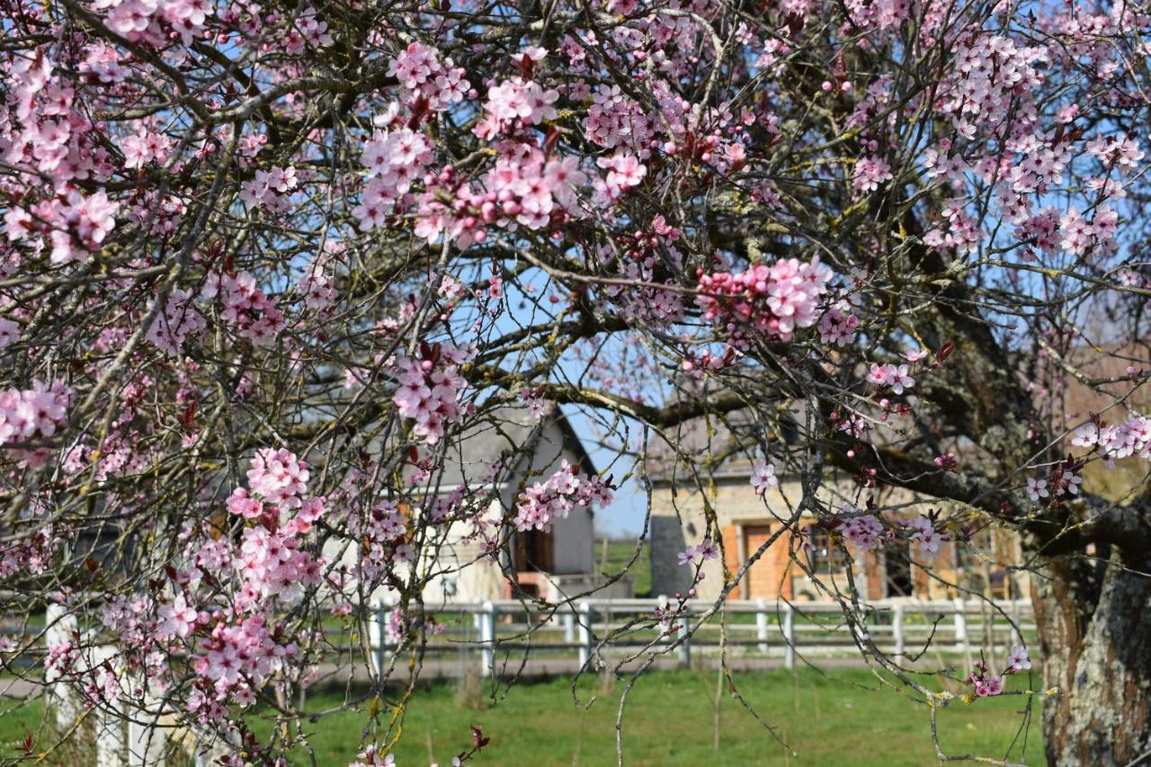 Le Chene D'Or Bed & Breakfast Marcheseuil Exterior photo